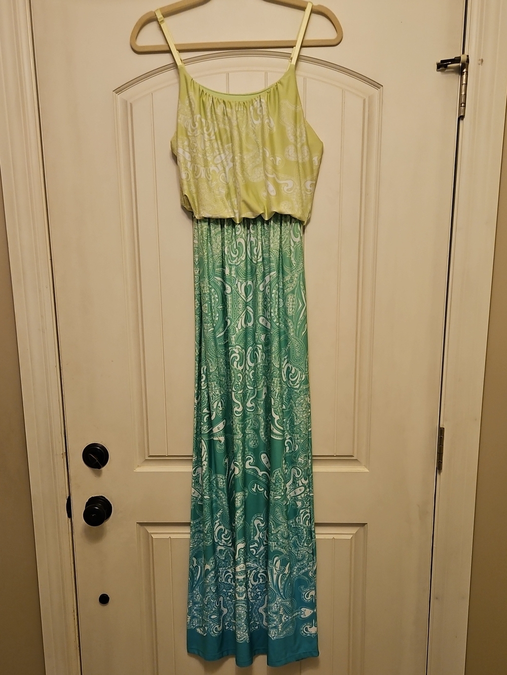 Studio Y Lime and Teal Ombre Paisley Maxi Dress